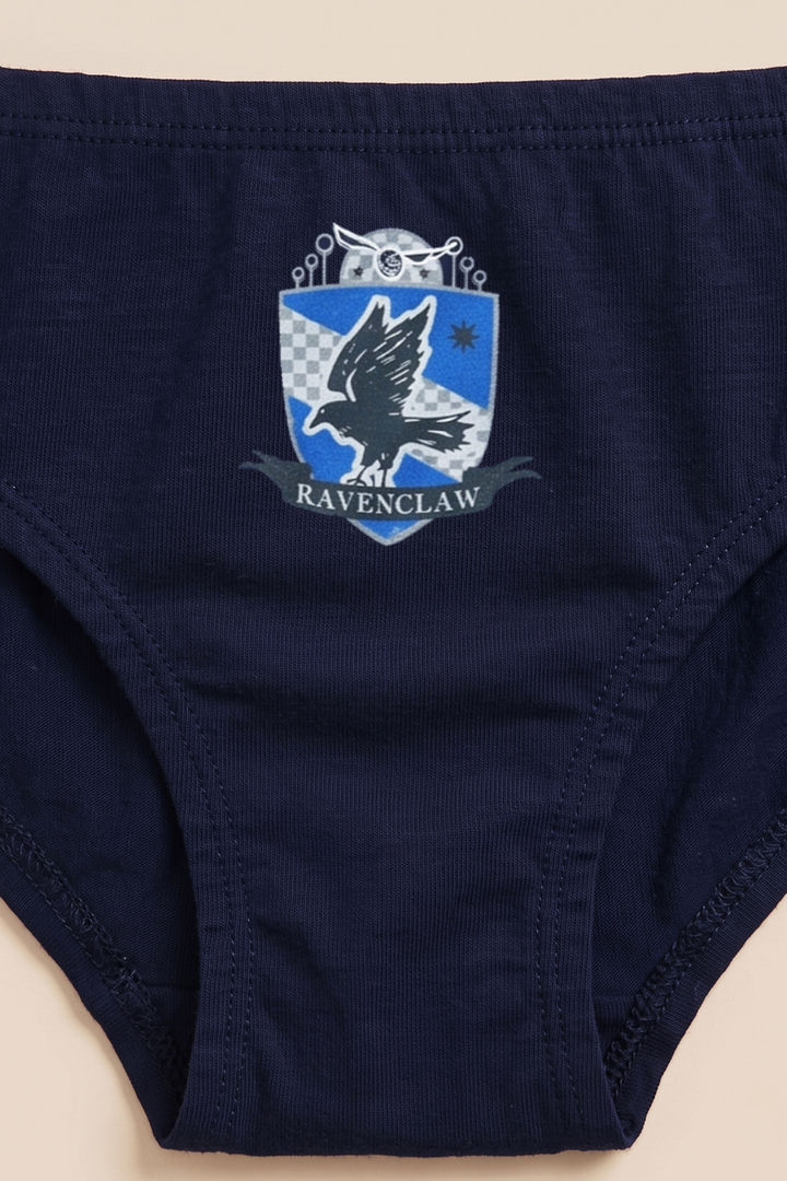 Zivame Girls Harry Potter Briefs (Pack of 2) - Multicolor — image 4
